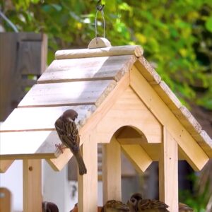 Wooden birds feeder